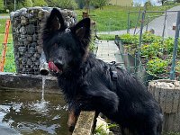 Onyx  es.: Karin Stadlin und Goofy Windler